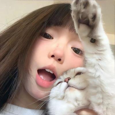 狐狸的夏天2